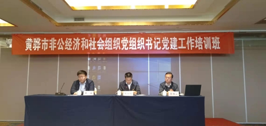 黃驊三陽(yáng)參加全市黨建工作培訓(xùn)90