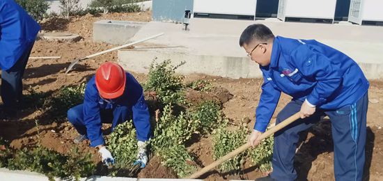 集團(tuán)機(jī)關(guān)黨支部組織綠化活動(dòng)77