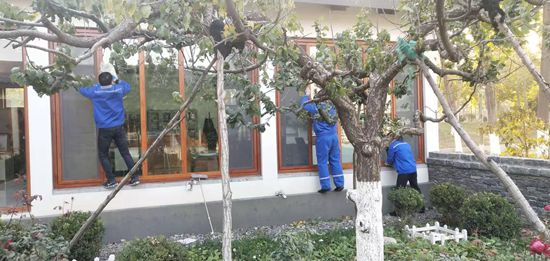 重山思沃瑞組織綠化活動(dòng)45