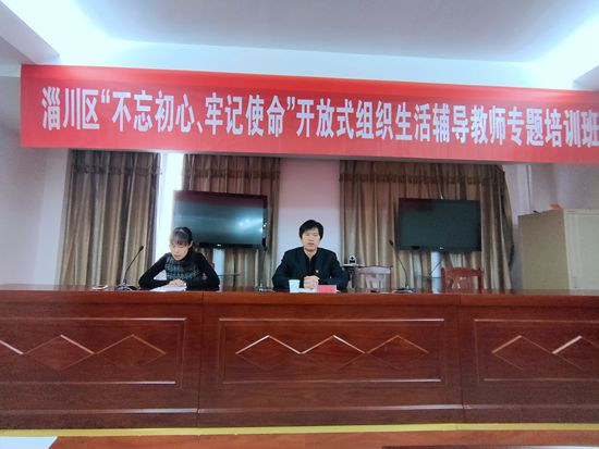 集團(tuán)參加區(qū)開放式組織生活輔導(dǎo)教師專題培訓(xùn)3