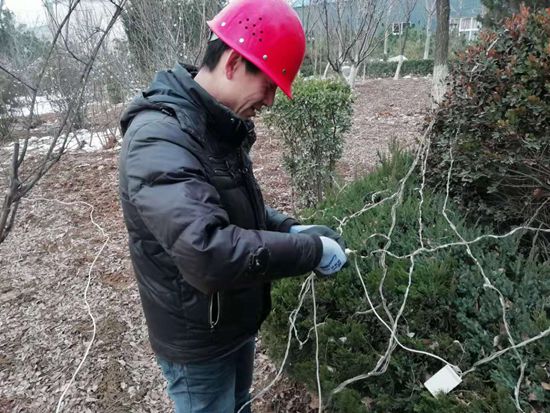 大紅燈籠高高掛 喜氣洋洋過(guò)春節(jié)68