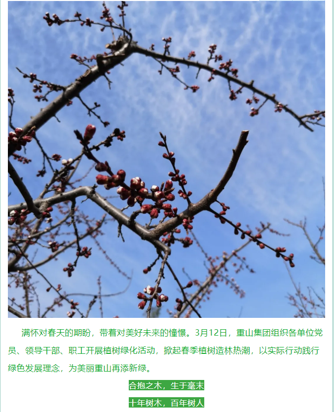 植一片希望 愿山河無恙14