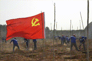 植一片希望 愿山河無恙14