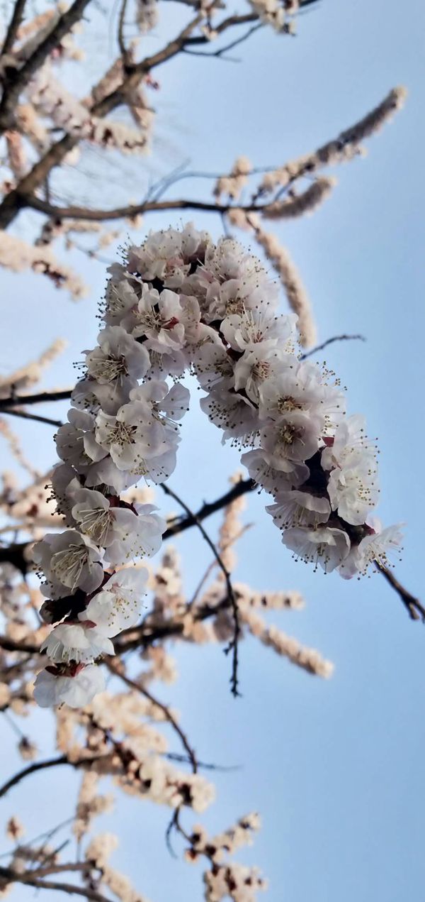 重山春已到 奮斗正當(dāng)時21