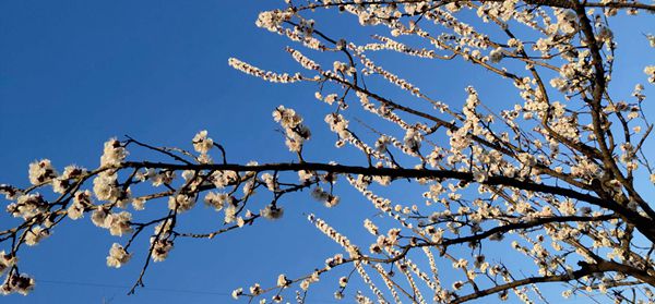 重山春已到 奮斗正當(dāng)時21