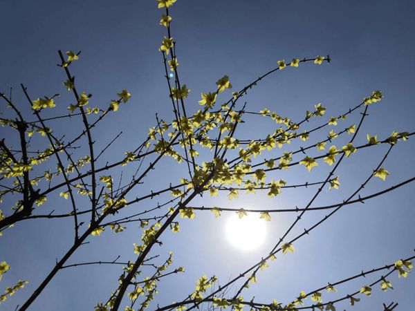 重山春已到 奮斗正當(dāng)時21