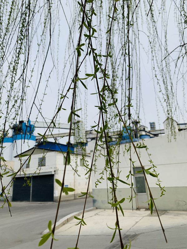 重山春已到 奮斗正當(dāng)時21