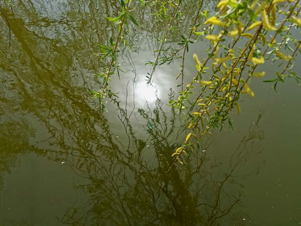 重山春已到 奮斗正當(dāng)時21