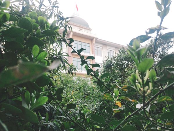 重山春已到 奮斗正當(dāng)時21