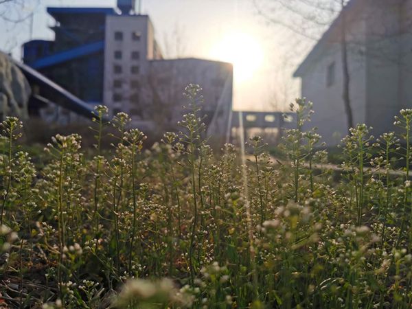 重山春已到 奮斗正當(dāng)時21