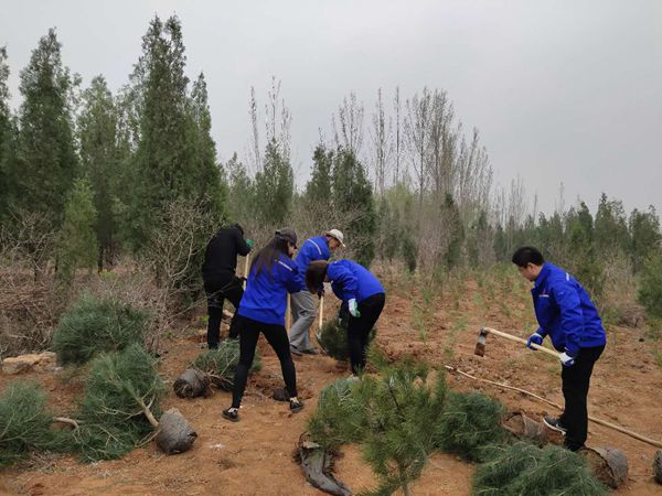 植樹綠化進(jìn)行時70