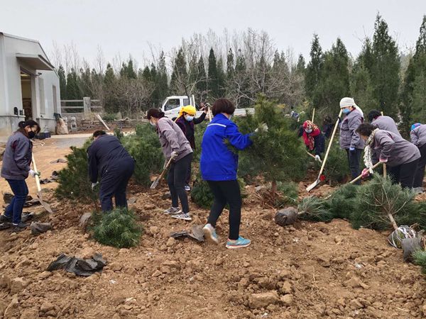植樹綠化進(jìn)行時70
