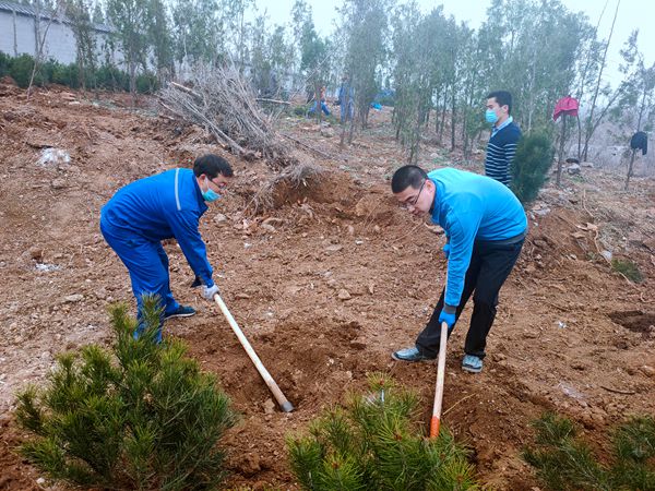 植樹綠化進(jìn)行時70