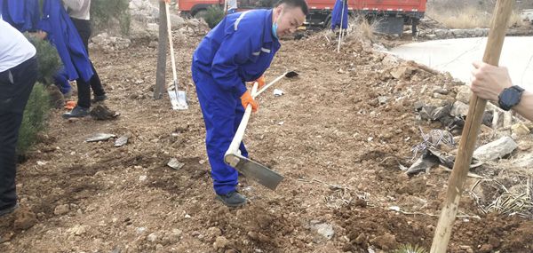 植樹綠化進(jìn)行時70