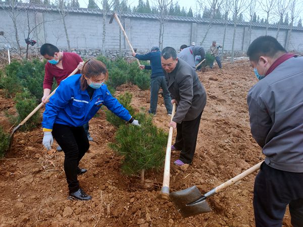 植樹綠化進(jìn)行時70