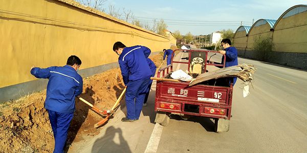 讓雷鋒精神成為黨員最美底色——魯中水泥、重山光電黨支部組織學雷鋒志愿活動87