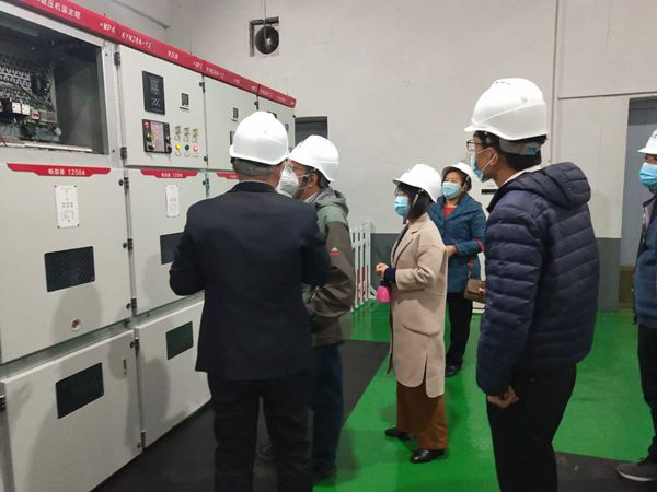 區(qū)發(fā)改局到魯中水泥調(diào)研31