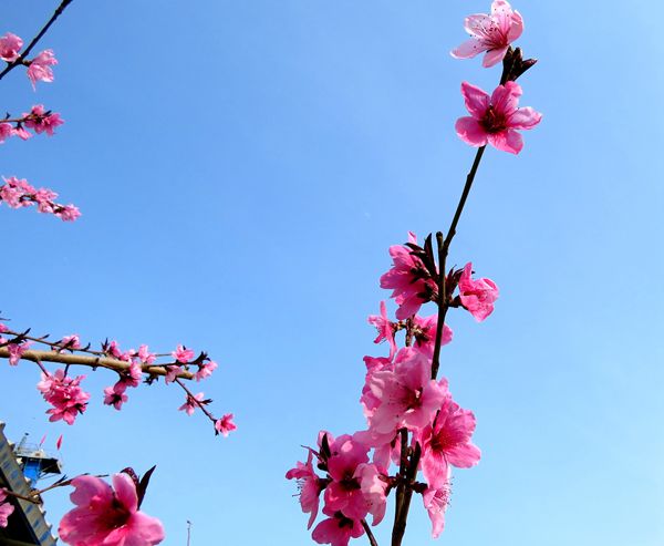 【重山影像】重山春已到 奮斗正當時（四）28