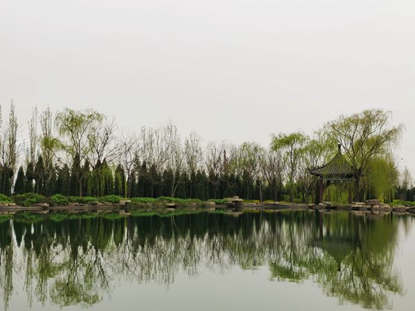 【重山影像】重山春已到 奮斗正當時（四）28