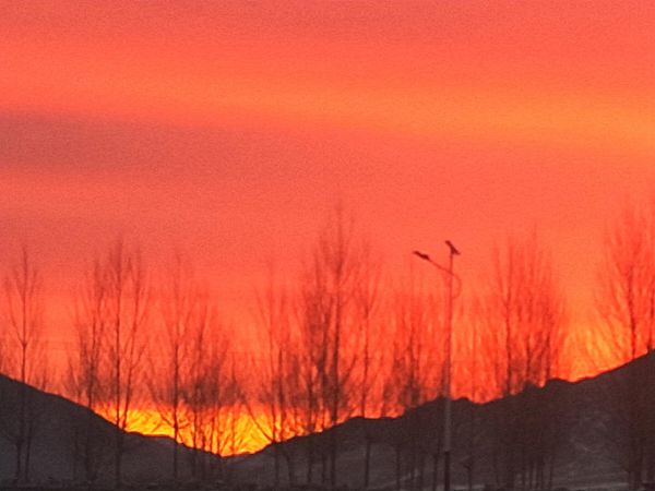 【重山影像】重山春已到 奮斗正當時（四）28