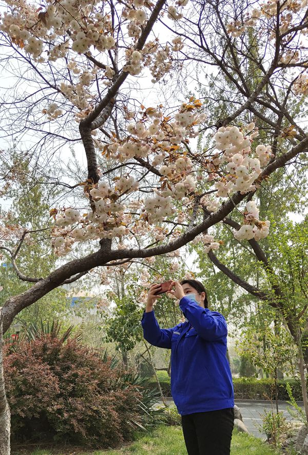 【重山影像】重山春已到 奮斗正當時（四）28