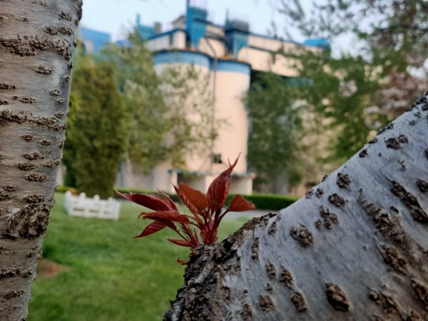 【重山影像】重山春已到 奮斗正當時（四）28