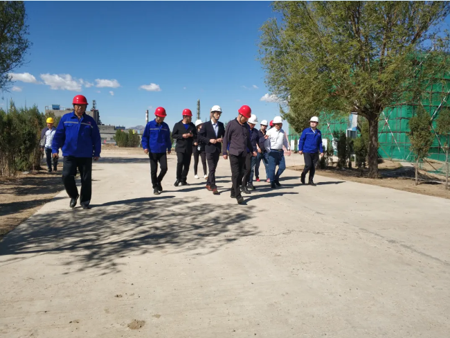 集團(tuán)公司對(duì)鵬峰化工、黃驊三陽進(jìn)行管理審核52