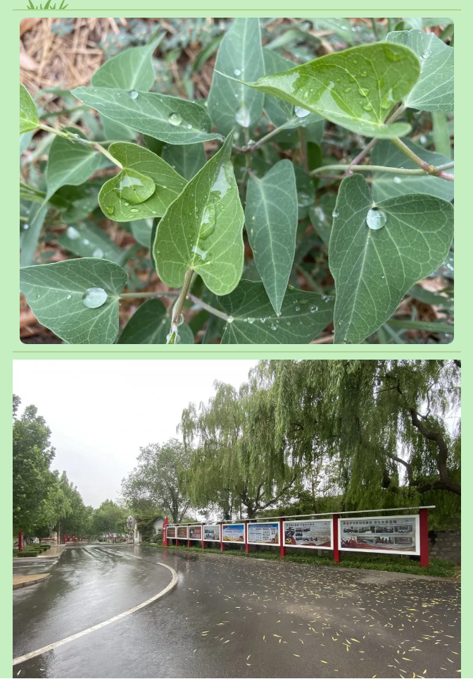 【重山影像】一起來看雨中的重山64