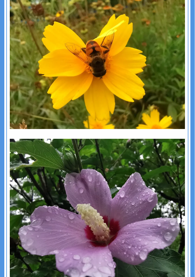 【重山影像】愿你以夢為馬 不負(fù)韶華94