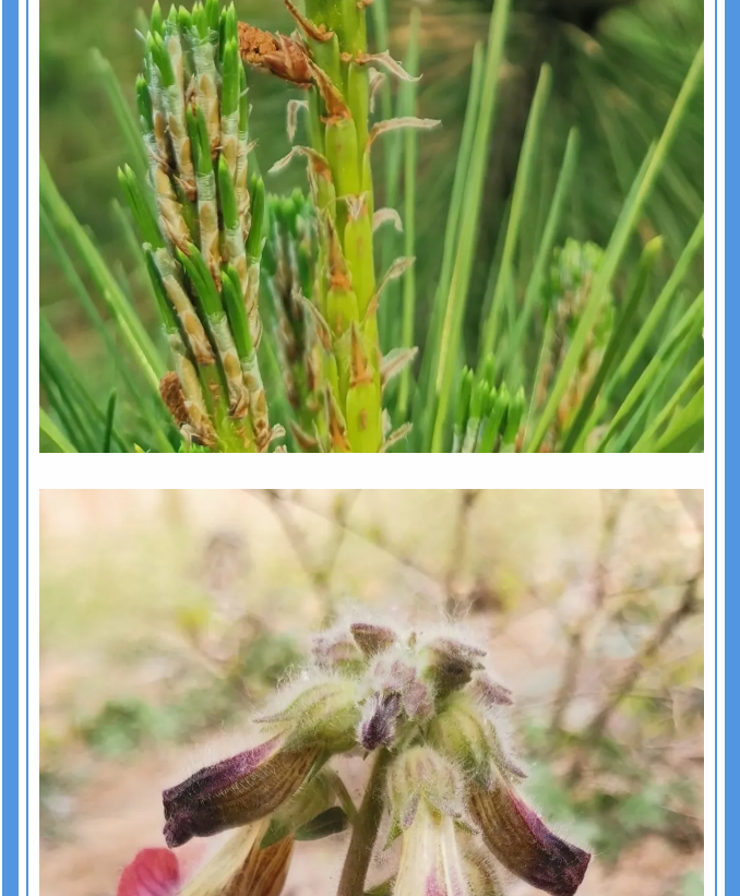 【重山影像】愿你以夢為馬 不負(fù)韶華94