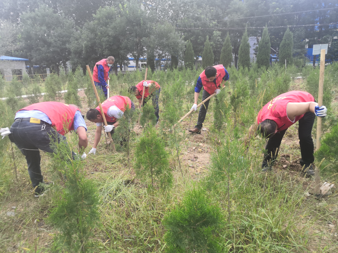 黨員動(dòng)起來(lái) 環(huán)境靚起來(lái)——集團(tuán)機(jī)關(guān)黨支部組織志愿服務(wù)活動(dòng)22