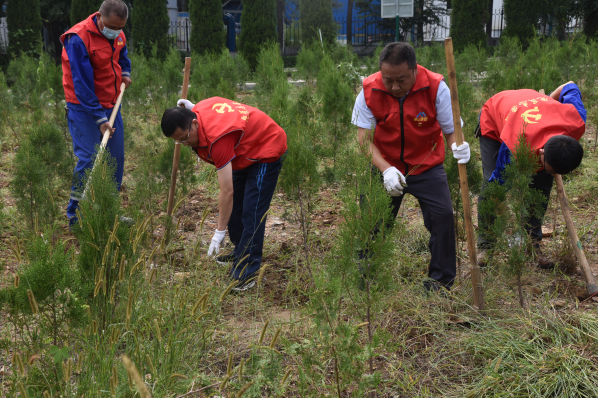 黨員動(dòng)起來(lái) 環(huán)境靚起來(lái)——集團(tuán)機(jī)關(guān)黨支部組織志愿服務(wù)活動(dòng)22
