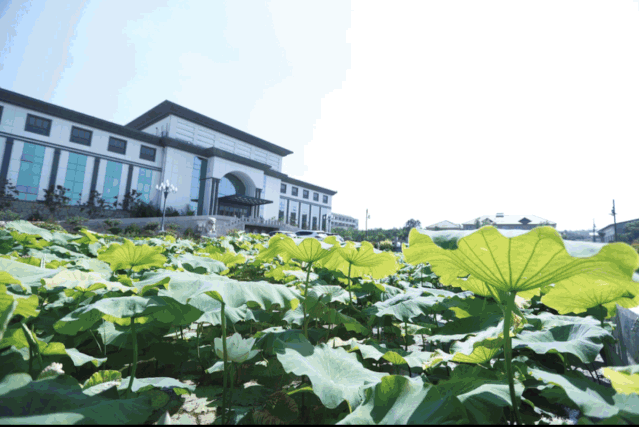 國旗下的重山好風(fēng)景25