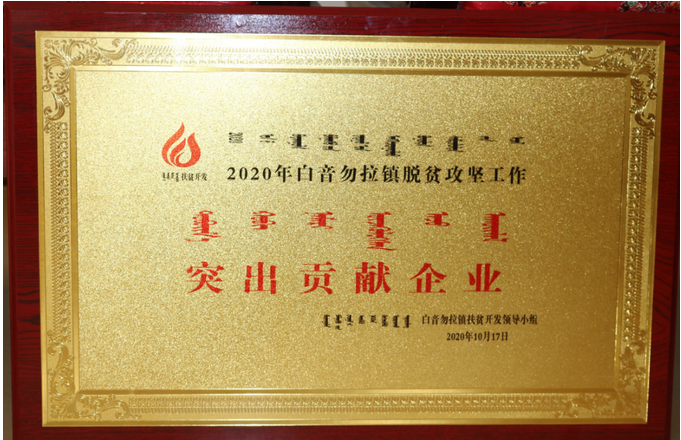 魯蒙公司榮獲“脫貧攻堅(jiān)突出貢獻(xiàn)企業(yè)”稱號95