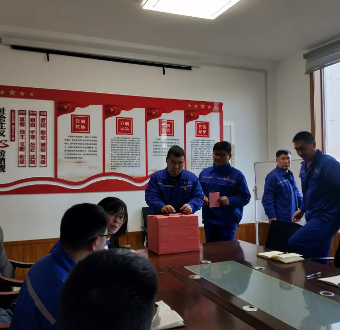 集團(tuán)黨委光電支部、在外人才支部完成委員選舉工作37