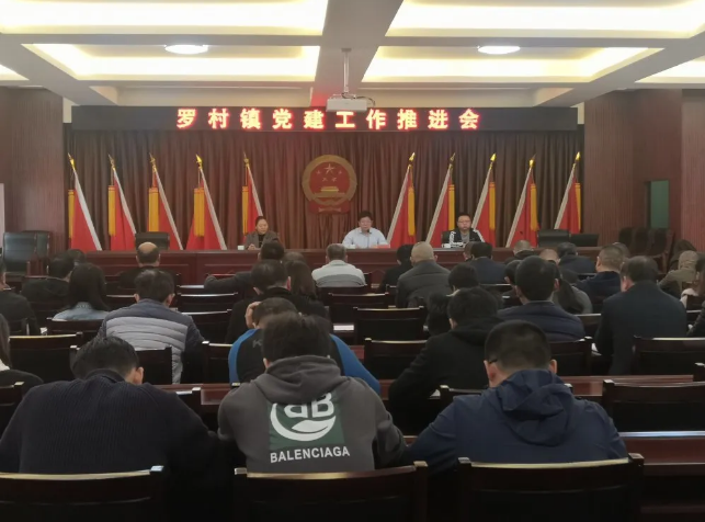 參加羅村鎮(zhèn)黨建工作推進會9