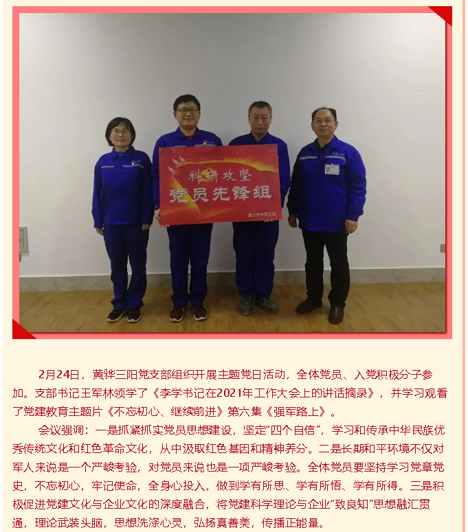 集團黨委各支部開展主題黨日活動39