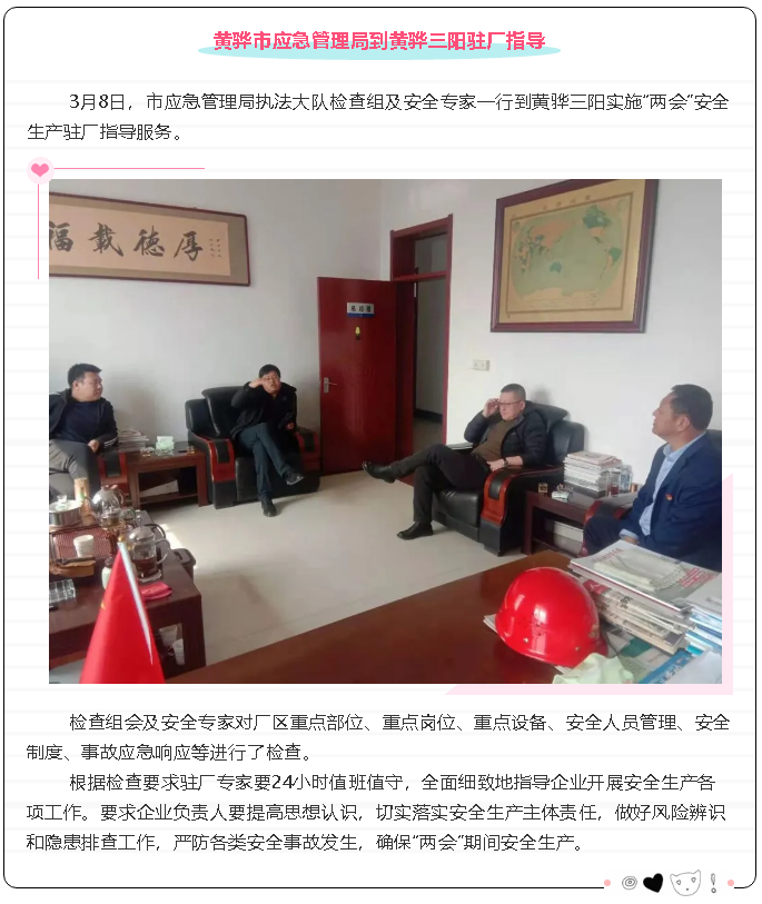 黃驊市應(yīng)急管理局到黃驊三陽駐廠指導(dǎo)85