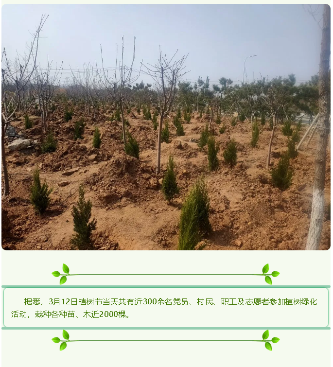 【植樹節(jié)】植一片綠色 播種一片希望——集團(tuán)黨委組織植樹綠化活動27