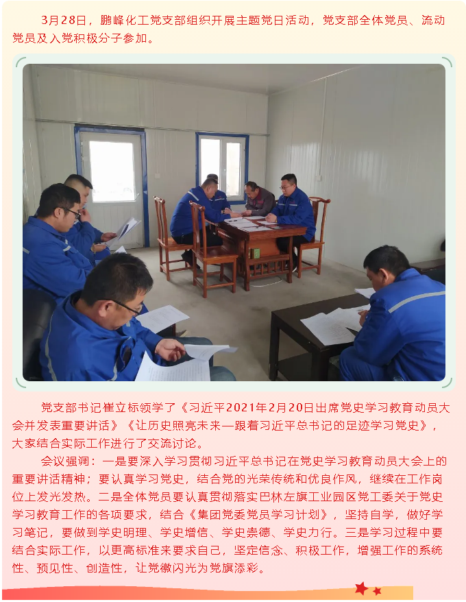 學(xué)黨史 讓黨徽閃光 為黨旗添彩—鵬峰化工黨支部組織3月份主題黨日活動90