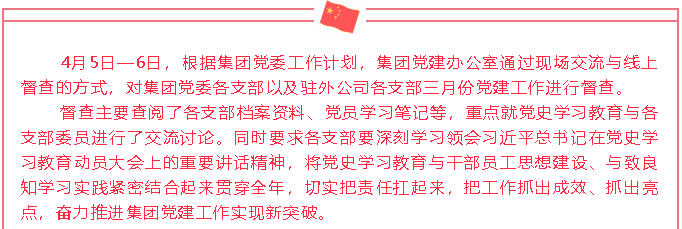 集團黨建辦公室開展三月份黨建工作督查38