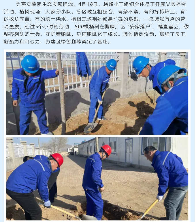 鵬峰化工組織開展植樹綠化活動(dòng)39