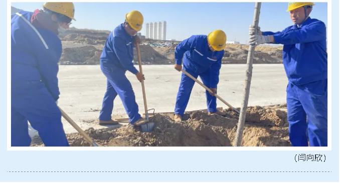 鵬峰化工組織開展植樹綠化活動(dòng)39