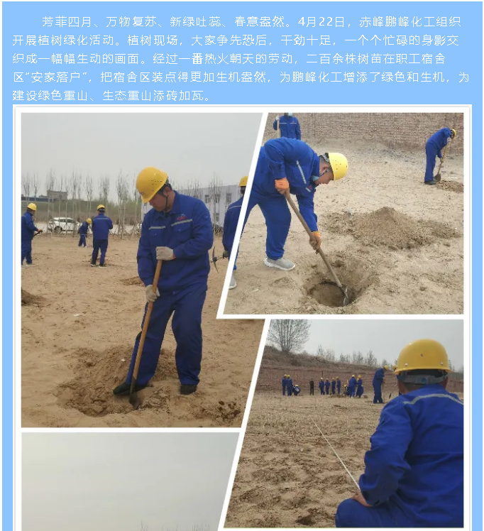 鵬峰化工開展植樹綠化活動1