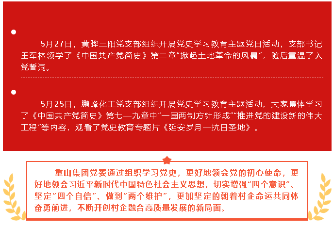 五月份黨史學(xué)習(xí)教育簡報(bào)17