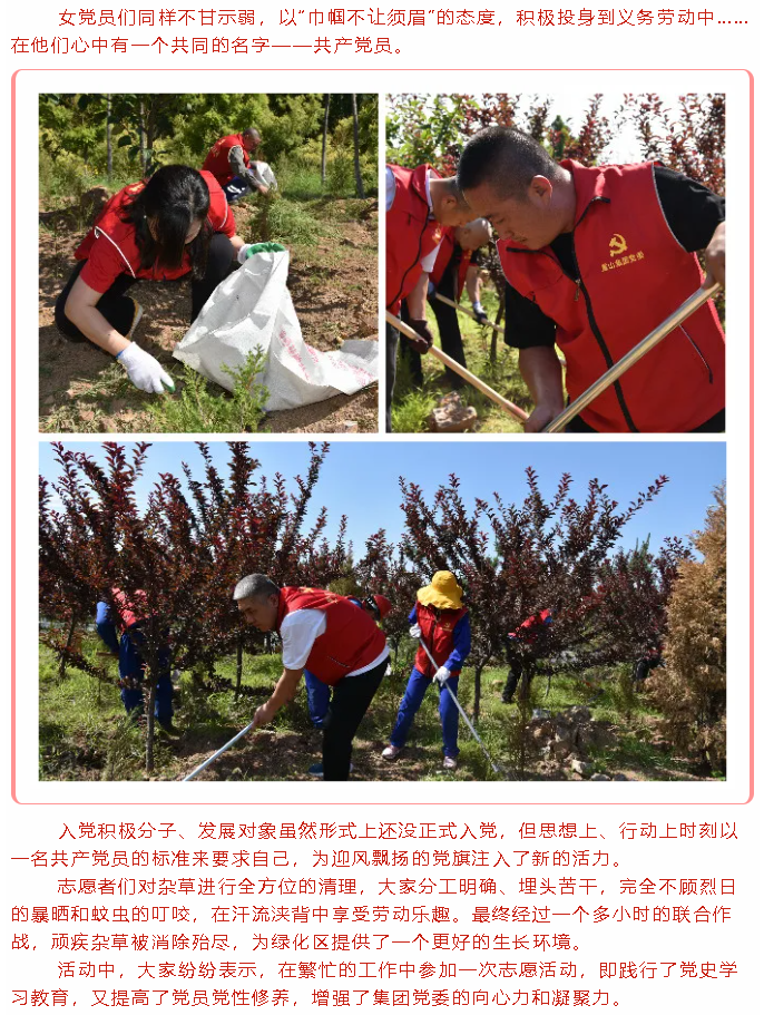 學(xué)黨史 辦實(shí)事 ——重山集團(tuán)黨委組織黨員志愿服務(wù)活動(dòng)74