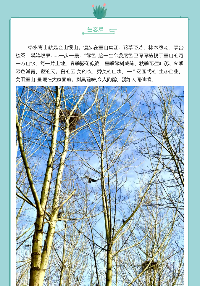 【鏡頭里的重山】邀您共賞重山之美！77