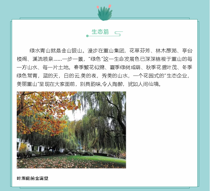 【鏡頭里的重山】邀您共賞重山之美！89