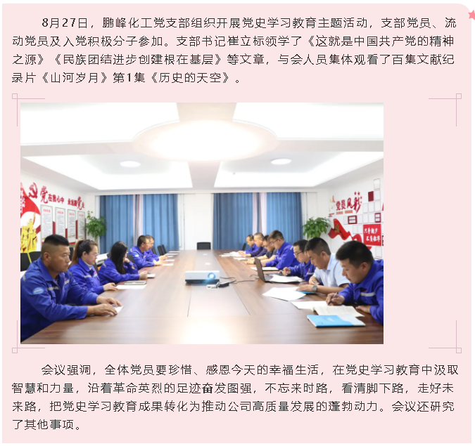 鵬峰化工黨支部開展黨史學(xué)習(xí)教育主題活動0