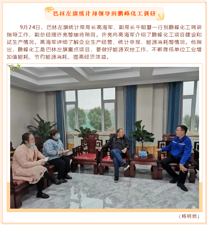 巴林左旗統(tǒng)計(jì)局領(lǐng)導(dǎo)到鵬峰化工調(diào)研21